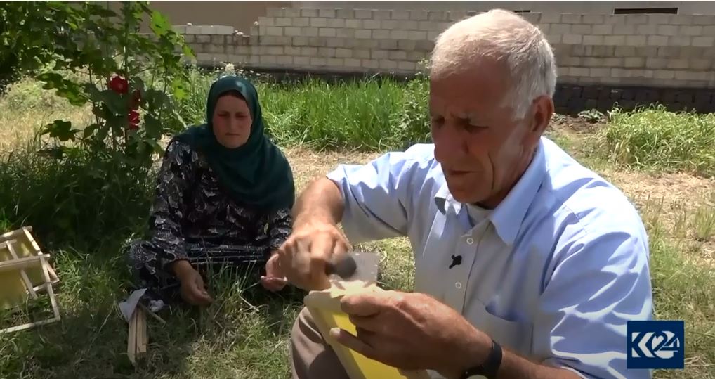 Welatiyekê Çilaxa li gel hevjîna xwe Mêşên Hingvîn xwedî dikin